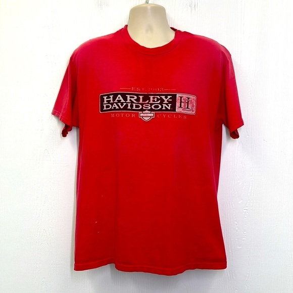 Harley Davidson - Low Country Charlestown South Carolina Faded Out T Shirt Large - Picture 2 of 13